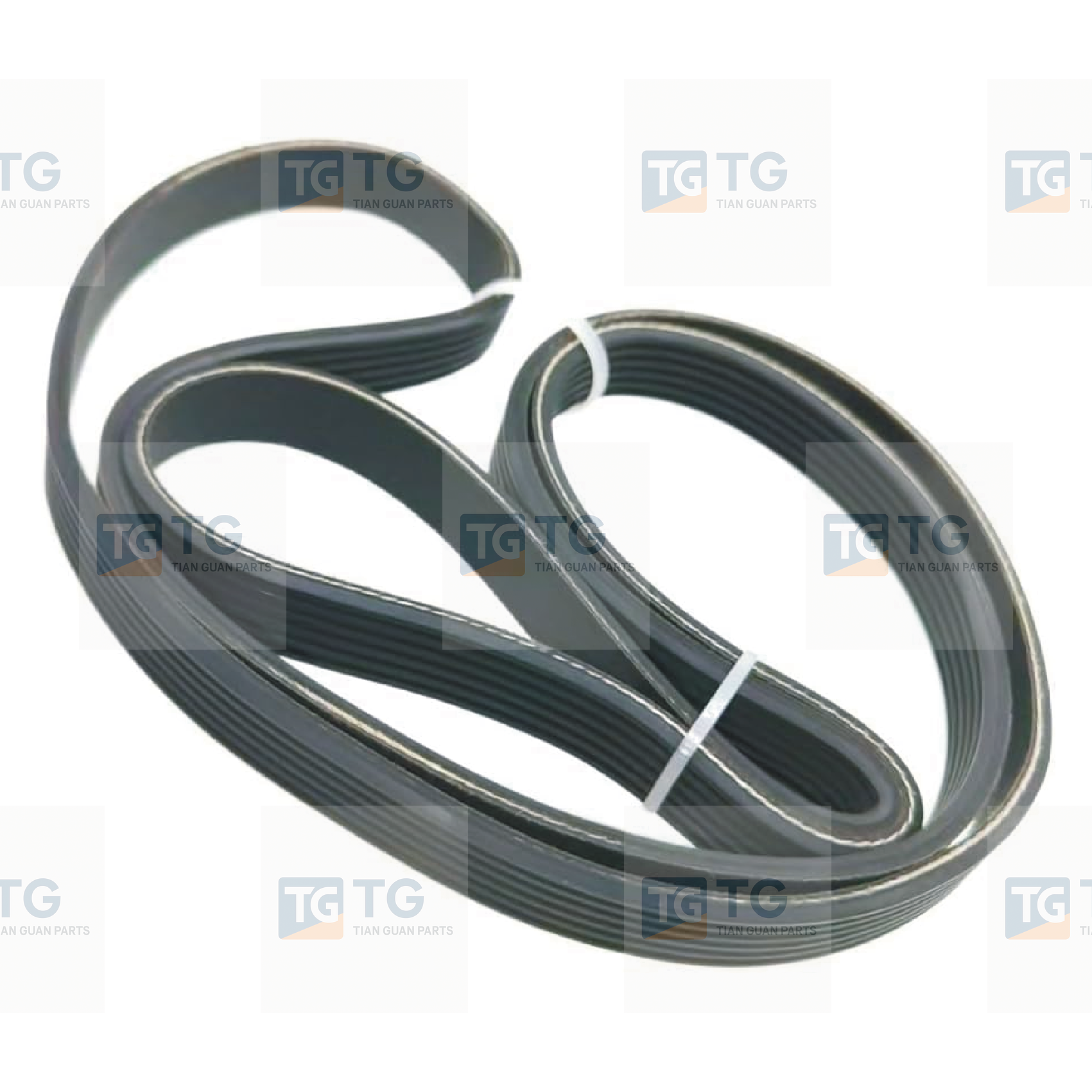 Fan belt 3002202 for CUMMINS Engines K19