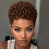 Short Brown Curly Wig Women Elegant Rose