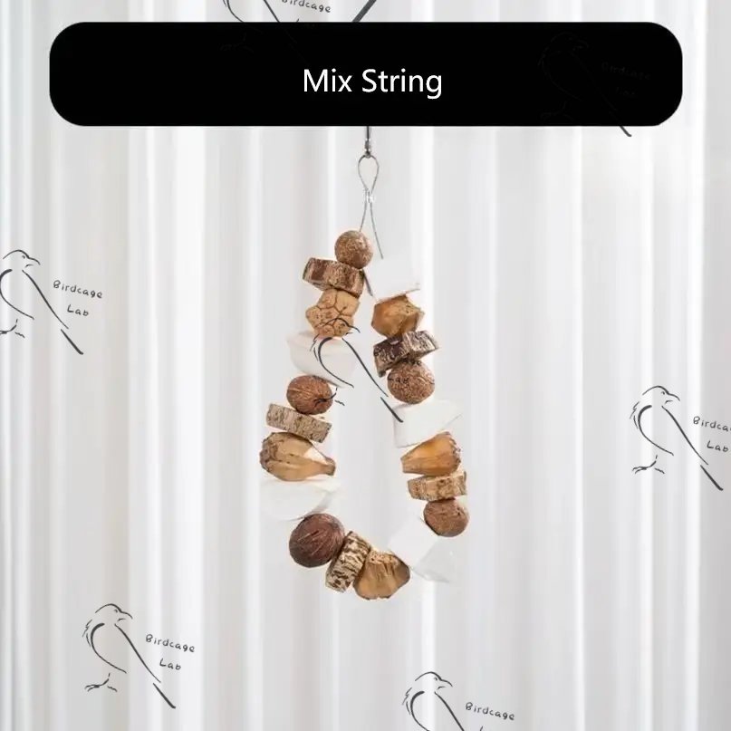 Edible Parrot Fruit Chews Super Model  Birdcagelab