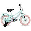 JOYSTAR Petal Girls Bike for Toddlers and Kids, 12 14 16 Kids Bike with Basket for 2-9 Years Old Girls, Kids Bike DRbike Store James Yang