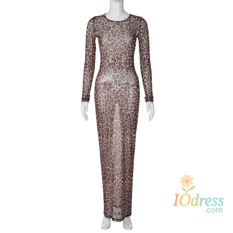 IO Dress Leopard Print Mesh See Through Sexy Party Club Maxi Dress Outfits Women Autumn Winter Long Sleeve Y2K Streetwear Dress Vestido