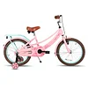 JOYSTAR Petal Girls Bike for Toddlers and Kids, 12 14 16 Kids Bike with Basket for 2-9 Years Old Girls, Kids Bike DRbike Store James Yang