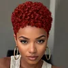 Short Brown Curly Wig Women Elegant Rose