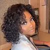 Glueless Wig Best Design African American Curly Wig