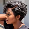 Glueless Black Short Wig Bob Curly Hair