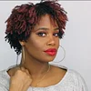 Natural Short Curly Wig