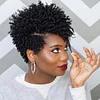 Best Design Africa Spiral Kinky Hair Short Curly Wig