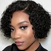Short Curly Hair Wave Wig Black Hair