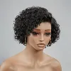 Glueless Black Short Wig Bob Curly Hair