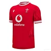 2024/2025 Wales Rugby Home Shirt S-5XL
