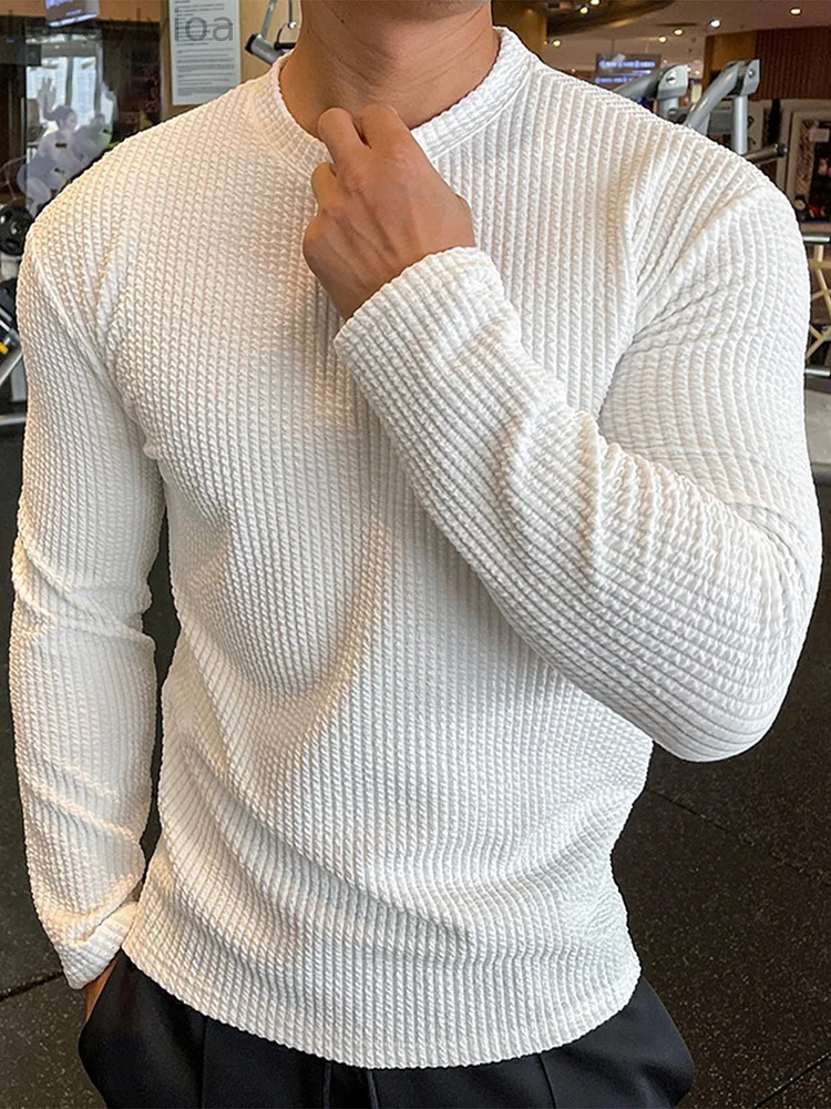M's Muscle Fit Long Sleeve Shirt Texture Grid Crewneck Pullover