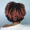 Natural Short Curly Wig