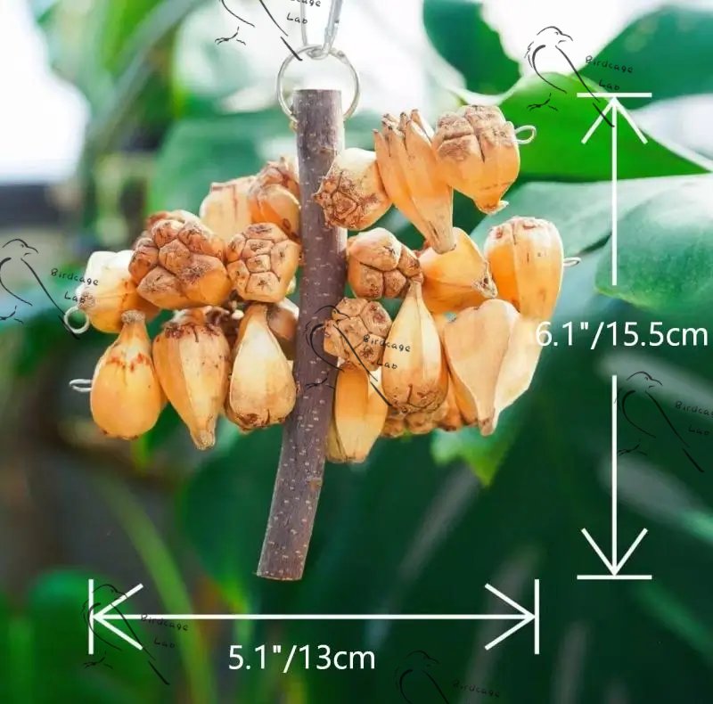 Edible Parrot Chew Fruit String 2026 Model  Birdcagelab