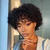 Glueless Fluffy Pixie Cut Short Curly Hair Wigs With Bangs 