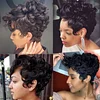 Best Design Afro Black Short Curly Hair Wig