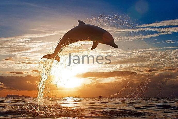 捆绑2  James Yang