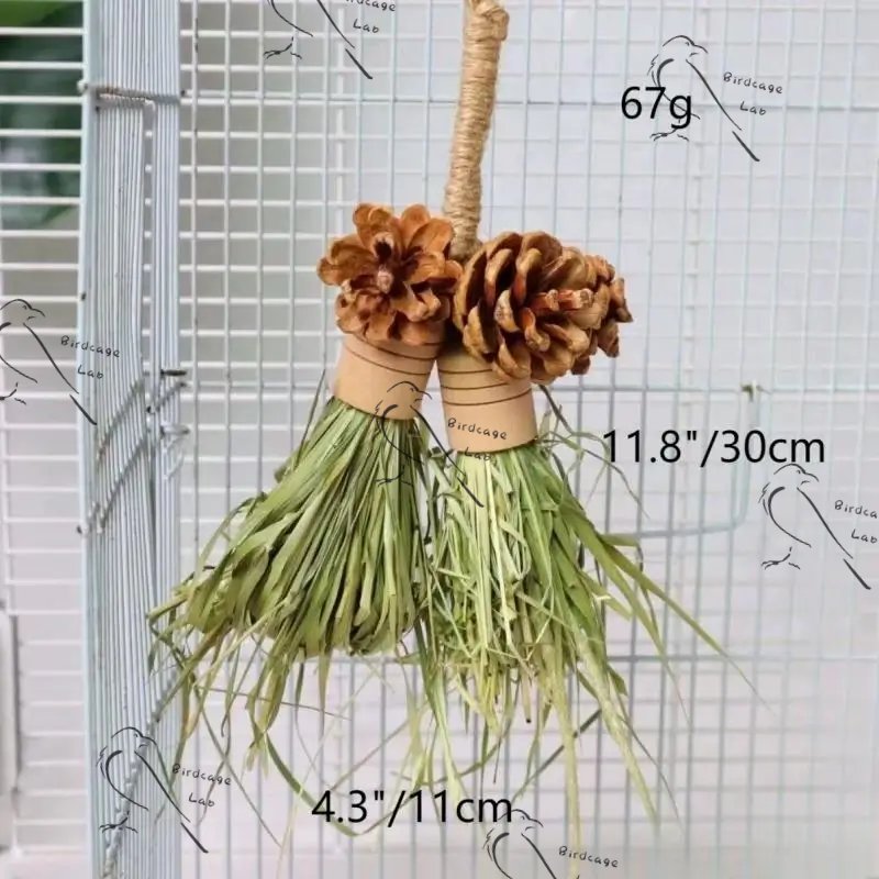 Parrot Tongcao Ball Fruit Dried Hay String  Birdcagelab