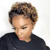 6 Inch Short Wig Bob Curly Hair