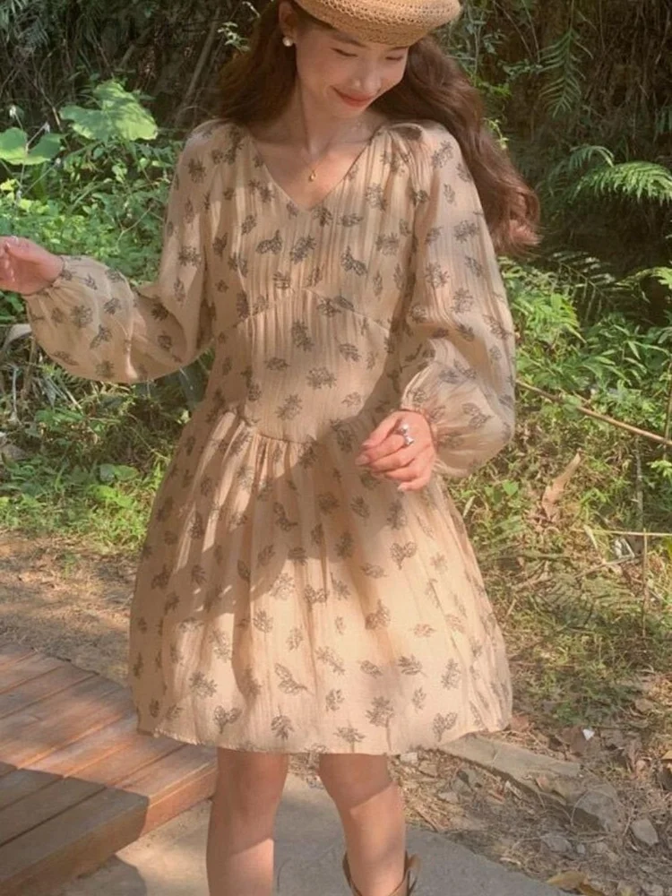 Print  V Collar Chiffon Dress