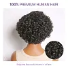 Natural Black / Brown Highlight Water Wave Pixie Cut Glueless Short Curly Wig