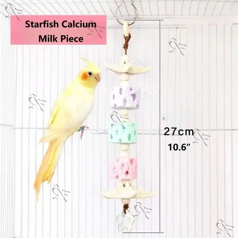 Parrot Starfish Calcium Milk Chew Sticks  Birdcagelab