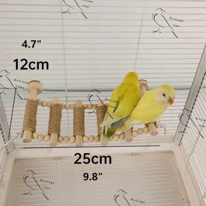 Parrot Climbing Macaron Ladder  Birdcagelab