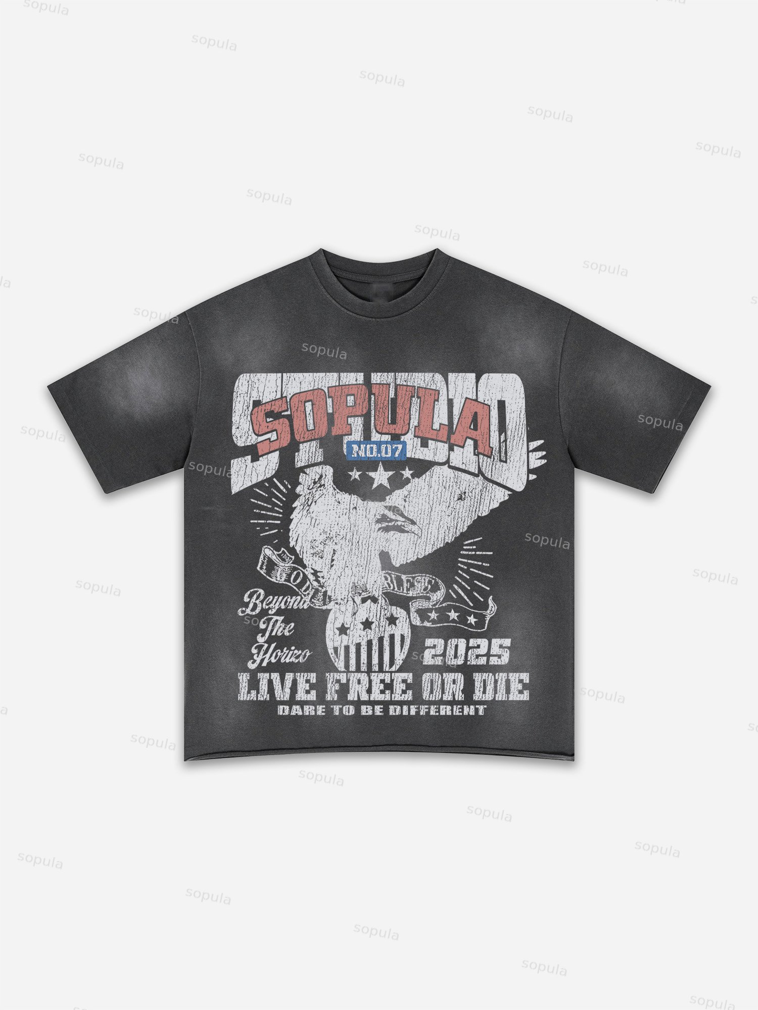 Western Eagle Print Washed T-shirt