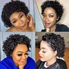 Hot Sale Glueless Wigs Black 6 Inch Short Wig Bob Curly Hair