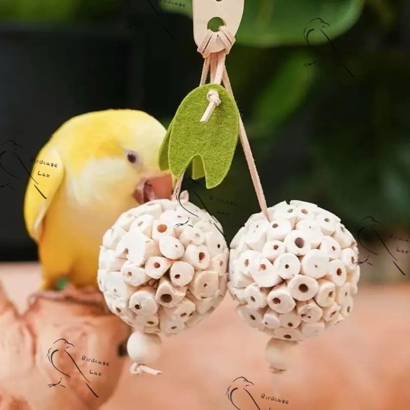 Parrot Natural Dried Luffa Ball  Birdcagelab
