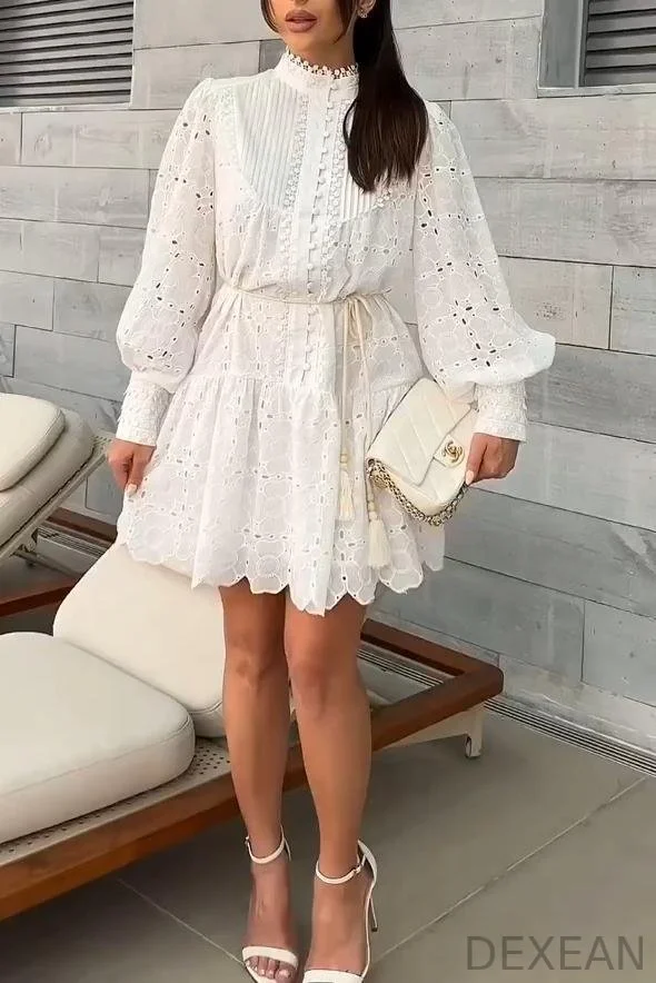 Women's Casual Solid Color Lantern Sleeve Lace Hollow Dress