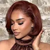 Soft Elegant Charm Auburn Brown Bob Glueless Wig