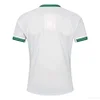 25/26 Ireland Rugby Away Shirt S-5XL