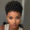 Short Brown Curly Wig Women Elegant Rose