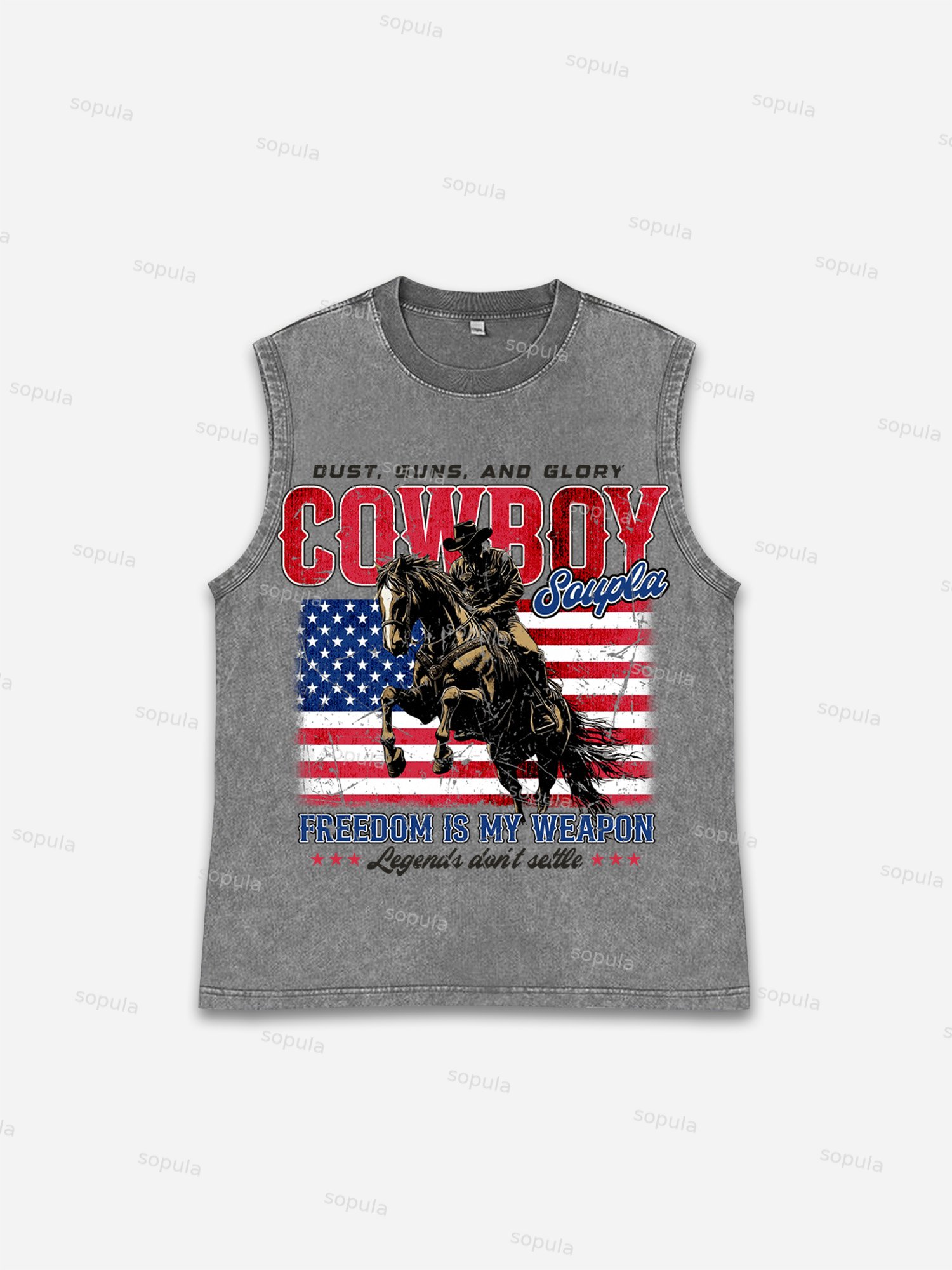 Vintage Independence Day Distressed Denim Graphic Wash Tank Top