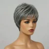 Trendy Limited Style | Salt & Pepper Pixie Cut Hair Wig