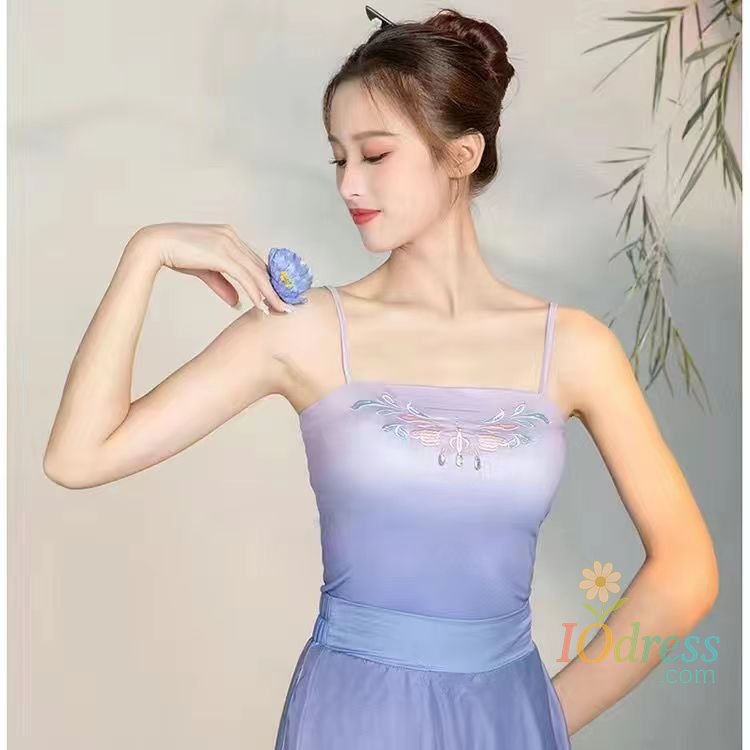 IO Dress Classical Dance Costume Gradual Suit Fairy Daily Practice Dress Loose Flowing Gauze Chinese Dance Performance Stag Dancewear