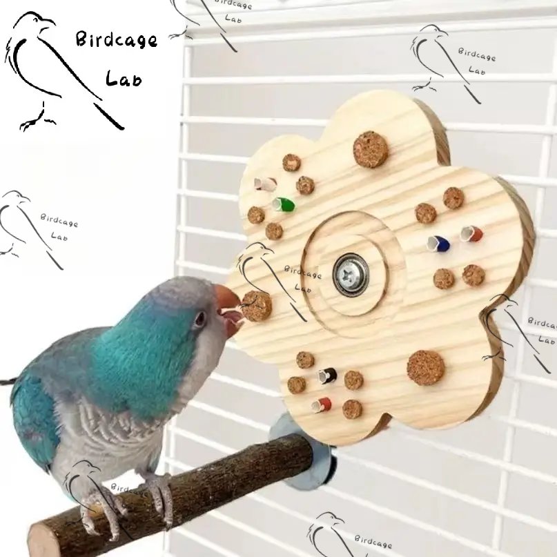 Parrot Cork-Pulling Game Wheel  Birdcagelab