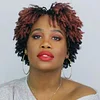 Natural Short Curly Wig