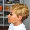 Best Design Afro Short Curly Hair Gold Wig