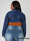 Cropped Frayed Denim Jacket