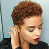 Best Design Afro Short Curly Hair Wig Without Bang
