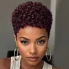 Short Brown Curly Wig Women Elegant Rose