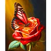 Diamond Painting - Full Round - butterflies and roses (40*50CM)  James Yang