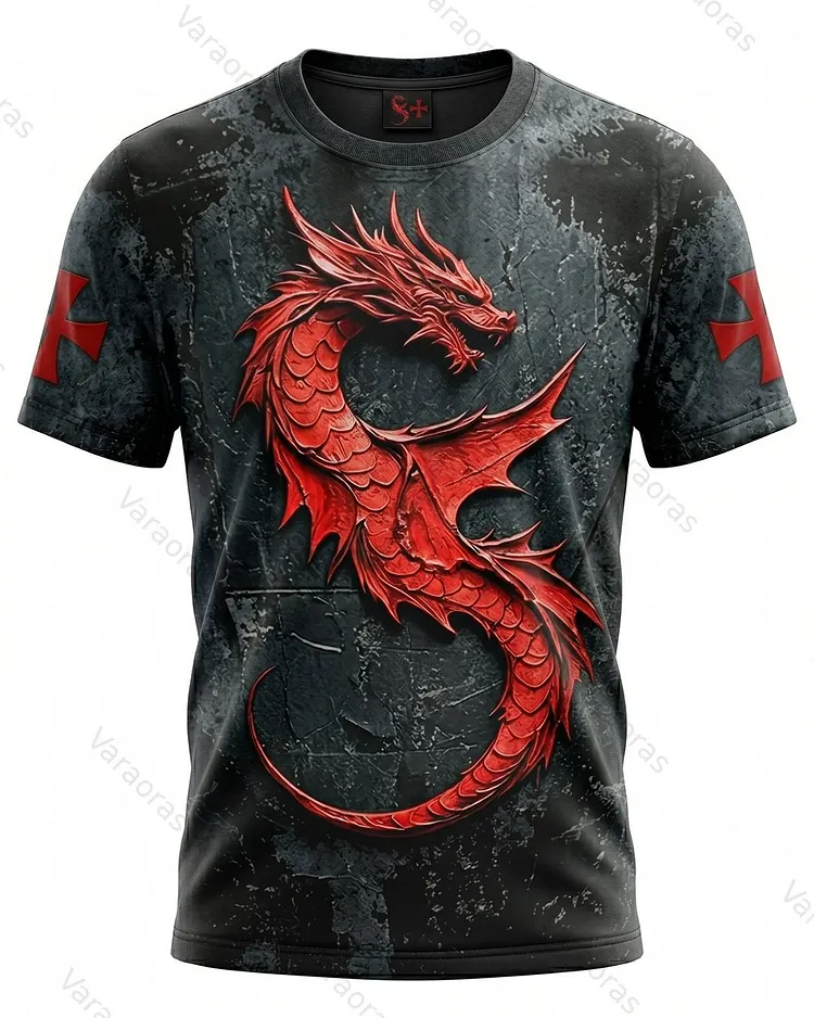 Men's Fashionable Viking Contrast Color Dragon Embroidered T-shirt 9283