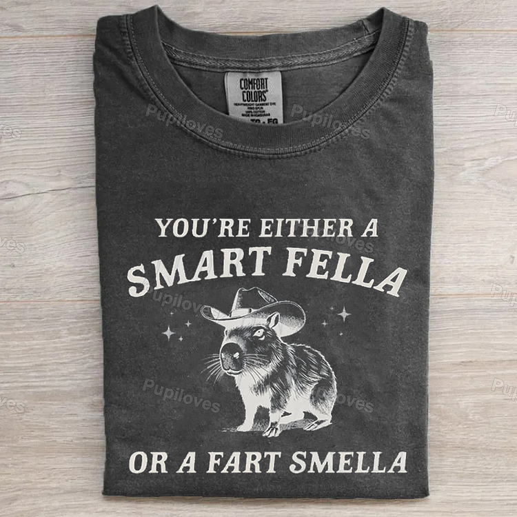 Pupiloves Pupiloves Are You A Smart Fella Or Fart Smella Vintage Style T-shirt