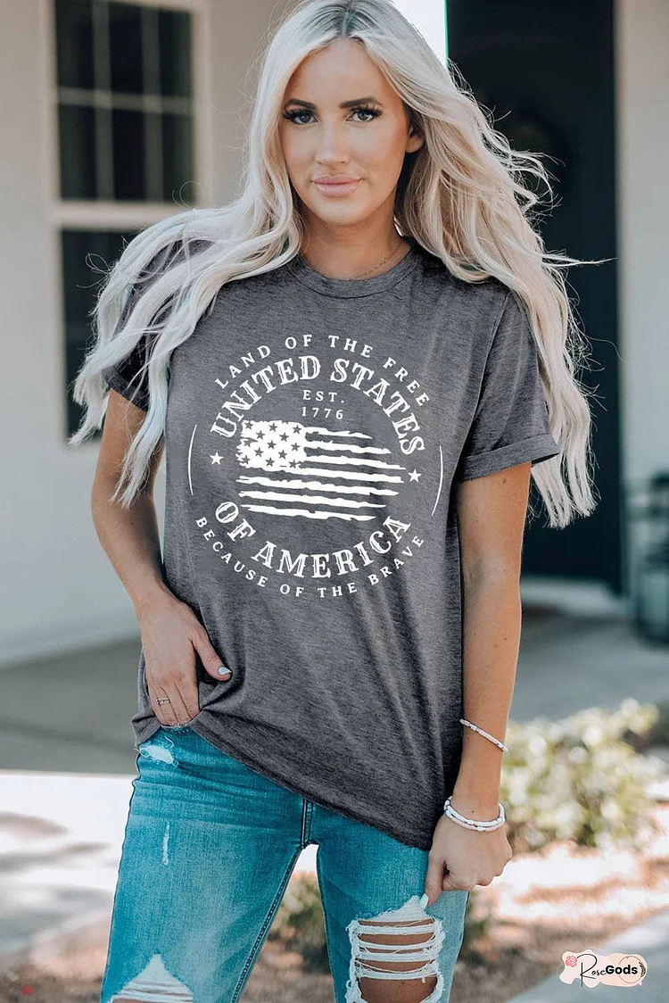 US Flag Graphic Short Sleeve Tee